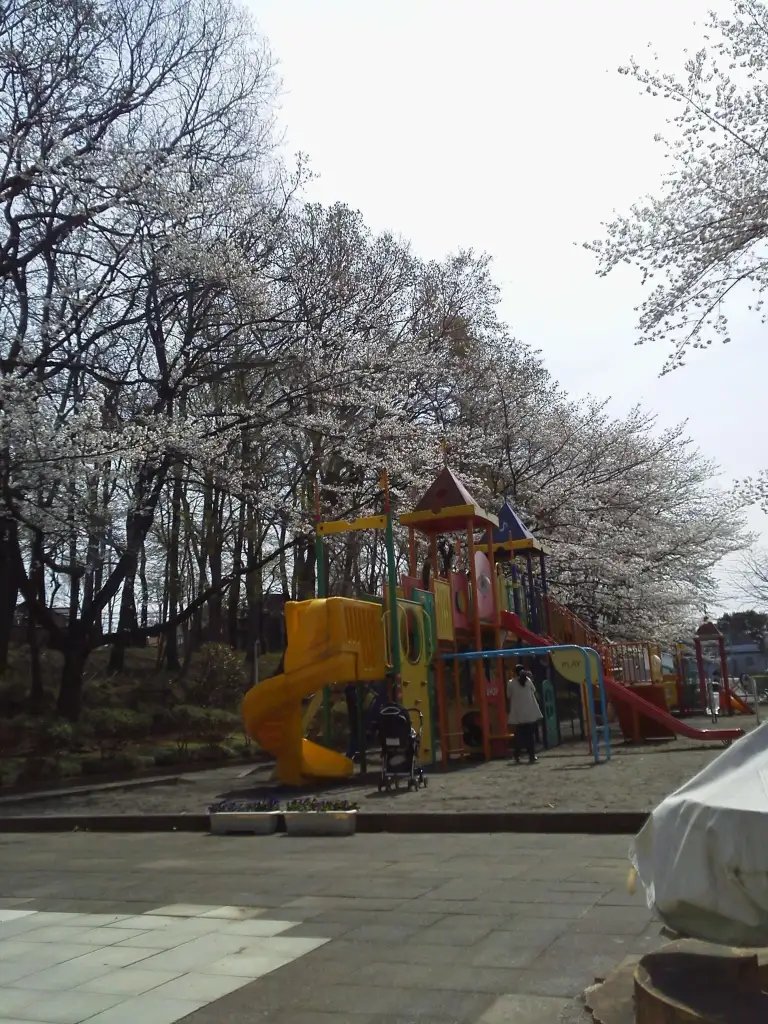 🌹 요노 공원 (Yono Park) 이미지 4